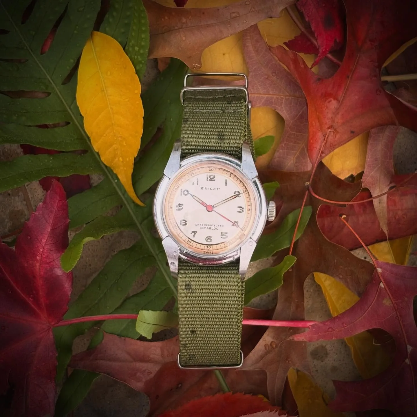 1940s Enicar with a two-tone cream and salmon dial, Arabic numerals and a red seconds hand, on an olive fabric strap among autumn leaves