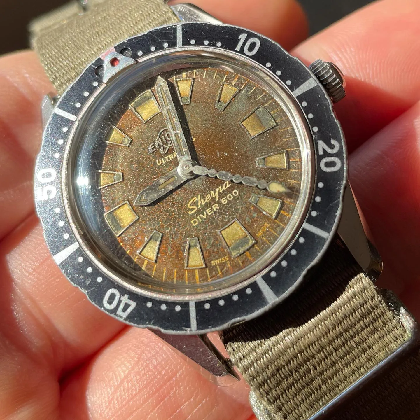 Sherpa Diver 600 with an aged brown radium dial and black bezel on a khaki strap, held in the hand