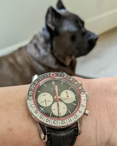 Jet Graph on a black strap on the wrist, with a dog in the background